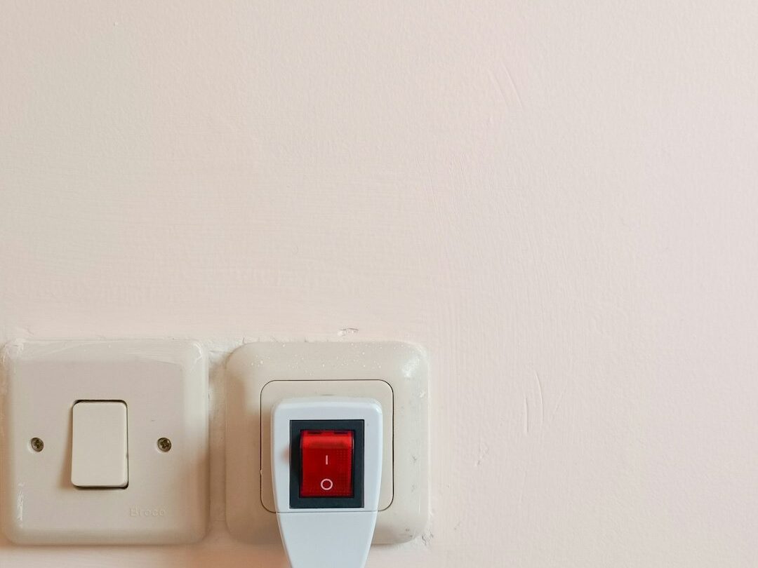 Smart plug connected to a wall outlet for remote appliance control